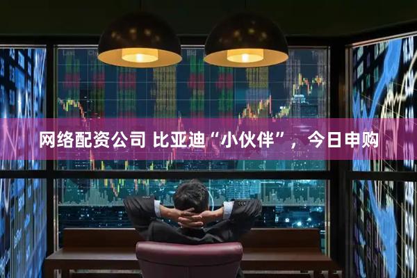 网络配资公司 比亚迪“小伙伴”，今日申购
