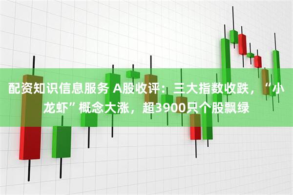 配资知识信息服务 A股收评：三大指数收跌，“小龙虾”概念大涨，超3900只个股飘绿