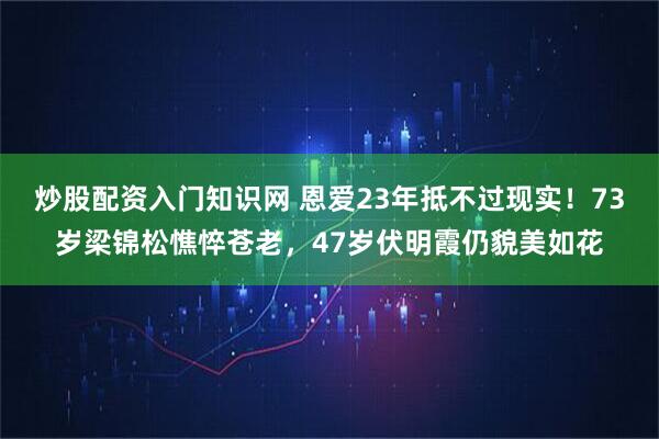 炒股配资入门知识网 恩爱23年抵不过现实！73岁梁锦松憔悴苍老，47岁伏明霞仍貌美如花